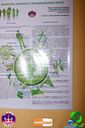 DSC07339.jpg