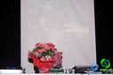 DSC09653.jpg