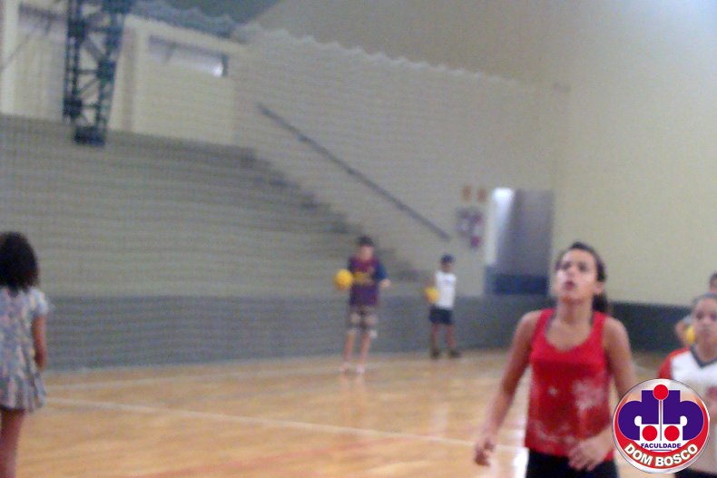 DSC02874.jpg
