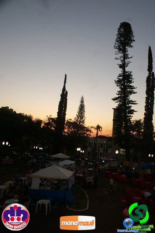 DSC07265.jpg