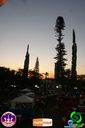 DSC07264.jpg