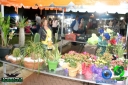 DSC04299.jpg