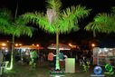 DSC09778.jpg