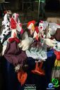 DSC09818.jpg