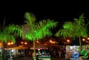 DSC09825.jpg