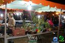 DSC09831.jpg