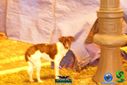 DSC09847.jpg