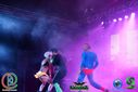 DSC09174.jpg