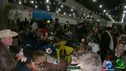 DSC08797.jpg
