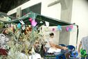 DSC08919.jpg