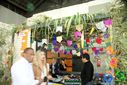 DSC08922.jpg