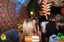 DSC04486.jpg
