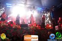 DSC05182.jpg