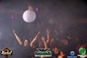 DSC02462.jpg