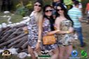 DSC02633.jpg
