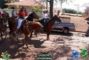 DSC03420.jpg