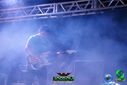 DSC09194.jpg