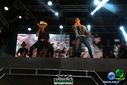 DSC03935.jpg