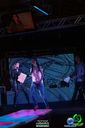 DSC07016.jpg