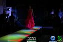 DSC07052.jpg