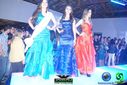 DSC07146.jpg