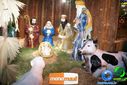 DSC03612.jpg