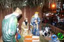 DSC03951.jpg