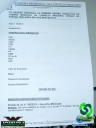 DSC04242.jpg