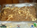 DSC07404.jpg