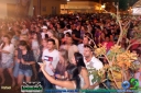DSC06574.jpg
