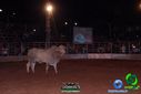 DSC00156.jpg