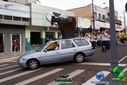 Filename=DSC03073.jpg
Filesize=115KiB
Dimensions=790x527
Date added=Oct 22, 2013 DSC03073.jpg