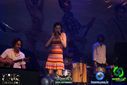 DSC04426.jpg