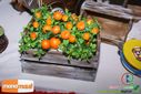 DSC04581.jpg