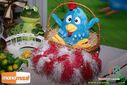 DSC04586.jpg