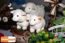 DSC04590.jpg