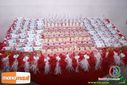 DSC04595.jpg