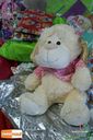 Filename=DSC04759.jpg
Filesize=193KiB
Dimensions=790x1185
Date added=Feb 20, 2014 DSC04759.jpg