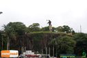 DSC02036.jpg