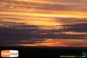 DSC02297.jpg