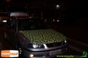 Filename=DSC05542.jpg
Filesize=68KiB
Dimensions=790x529
Date added=Jun 24, 2014 DSC05542.jpg