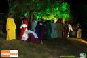 IMG_0773.jpg