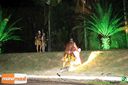 IMG_0899.jpg