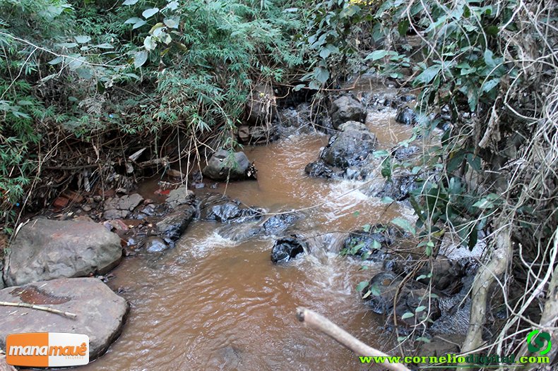 Nascente de ÃƒÆ’Ã‚Âgua limpa e fresca ao lado do Conjunto Habitacional, responsÃƒÆ’Ã‚Â¡vel pela Mata ali existente que podemos aprecia-la!

