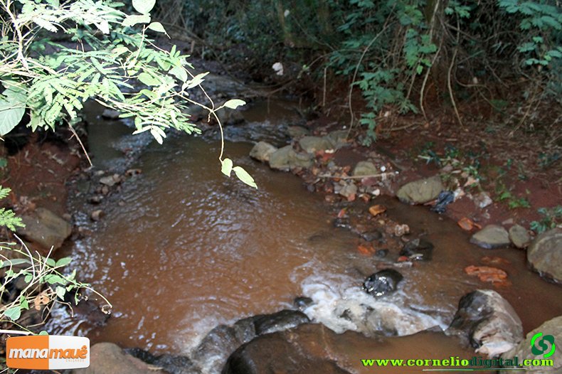 Nascente de ÃƒÆ’Ã‚Âgua limpa e fresca ao lado do Conjunto Habitacional, responsÃƒÆ’Ã‚Â¡vel pela Mata ali existente que podemos aprecia-la!
