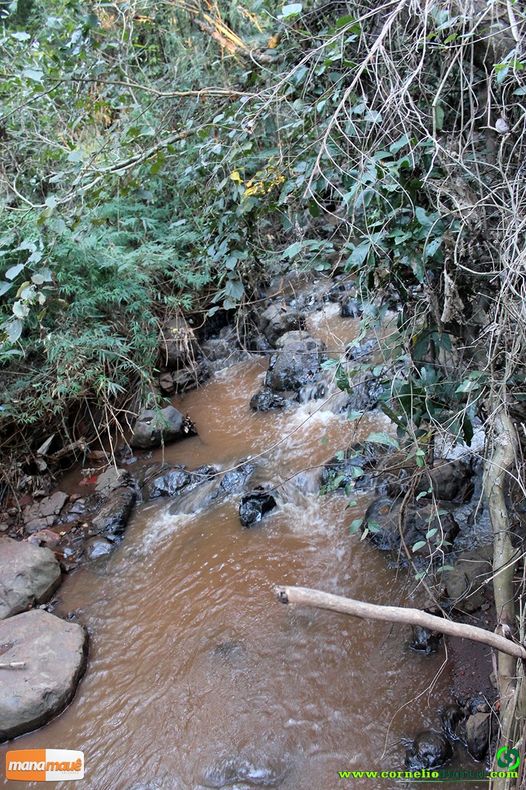 Nascente de ÃƒÆ’Ã‚Âgua limpa e fresca ao lado do Conjunto Habitacional, responsÃƒÆ’Ã‚Â¡vel pela Mata ali existente que podemos aprecia-la!
