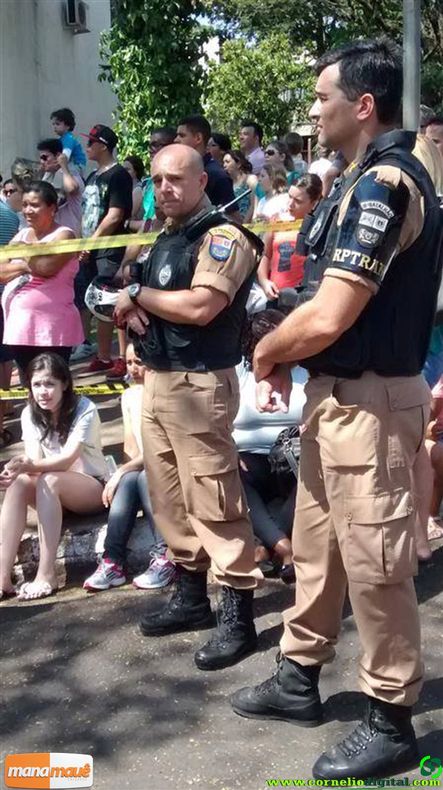 115.jpg