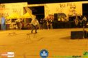 Filename=IMG_0391.jpg
Filesize=90KiB
Dimensions=790x526
Date added=Aug 11, 2014 IMG_0391.jpg