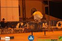 Filename=IMG_0433.jpg
Filesize=92KiB
Dimensions=790x526
Date added=Aug 11, 2014 IMG_0433.jpg
