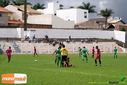 DSC02083.jpg